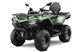 Квадроцикл CFMOTO CFORCE 450L Hunter Green